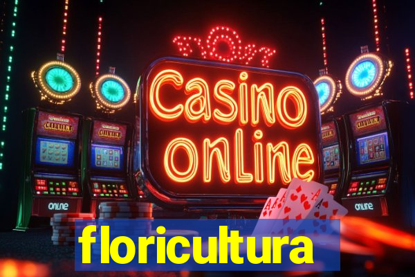 floricultura juazeiro bahia